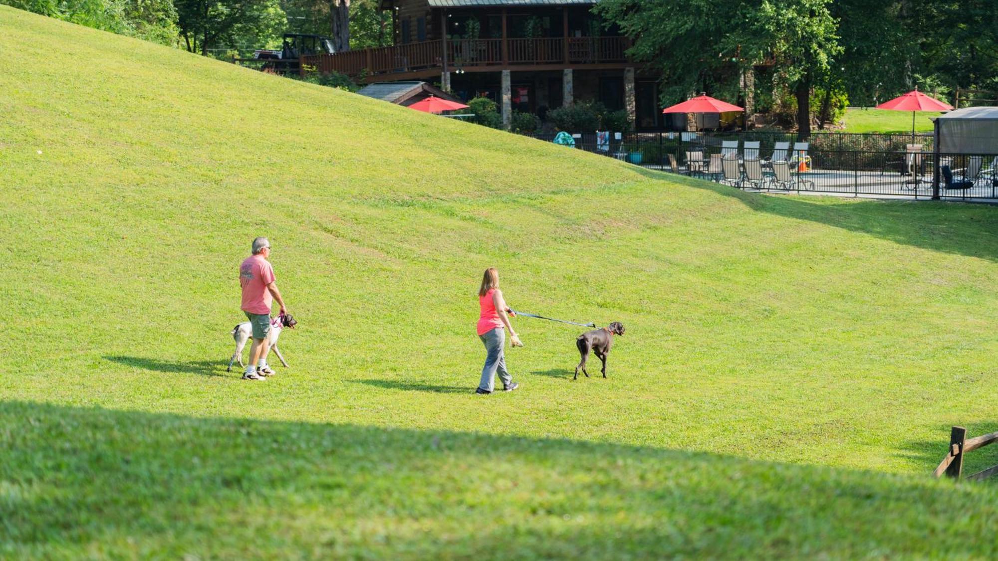 Villa Yoli Bear Hideaway Sevierville Exterior foto