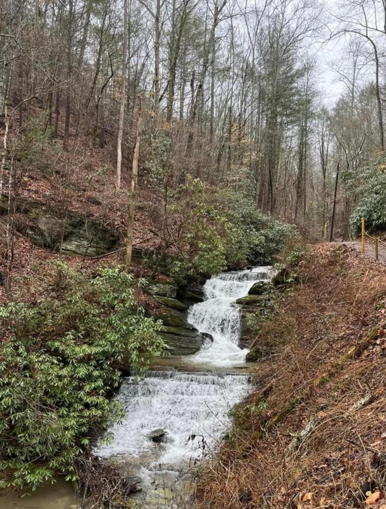 Villa Yoli Bear Hideaway Sevierville Exterior foto