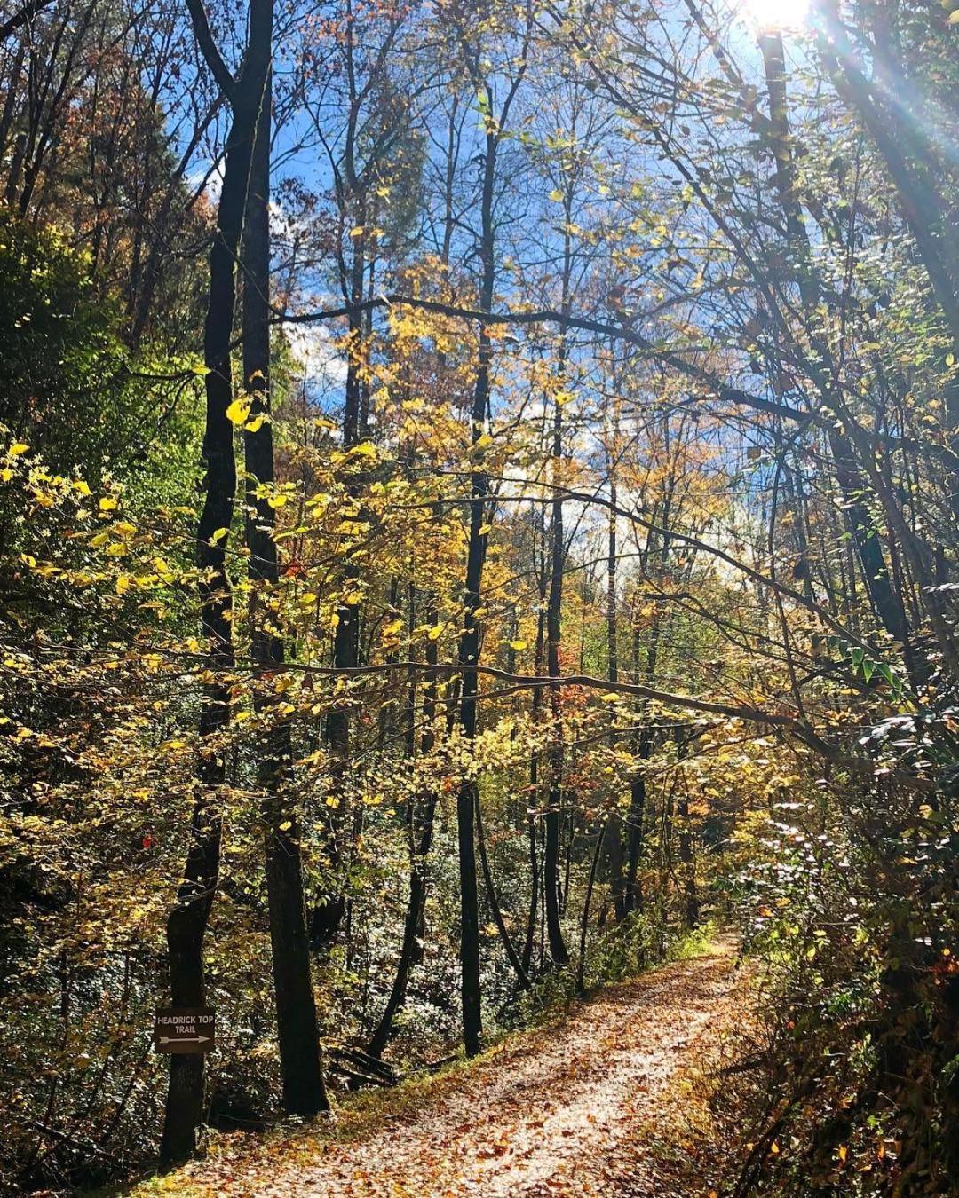 Villa Yoli Bear Hideaway Sevierville Exterior foto